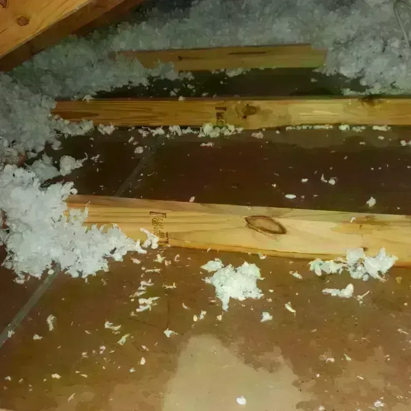 Attic Water Damage in Lexington, OK