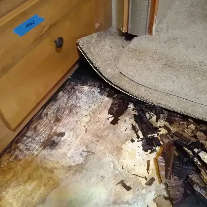 Wood Floor Water Damage in Lexington, OK